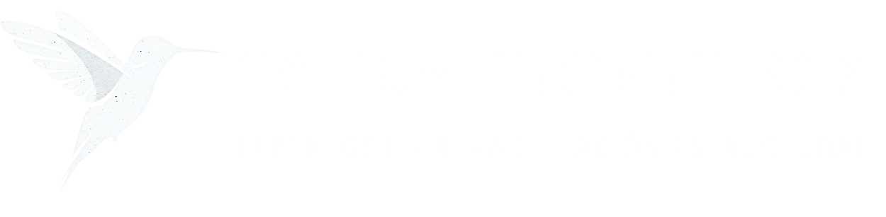 Logo en blanco